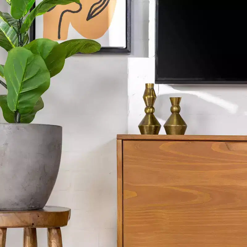 Solid Wood Mid-Century Modern TV Stand for TVs up to 65 - Saracina Home